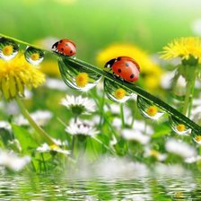 Схема вышивки «№2928296»