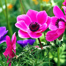 Схема вышивки «№2928299»