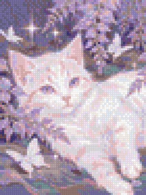 кот - кот - предпросмотр