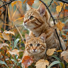 Схема вышивки «Prietenele mele»