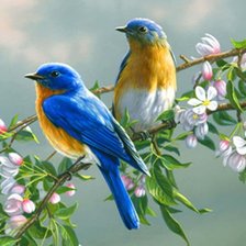 Схема вышивки «Птички»