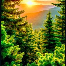 Схема вышивки «Лес»