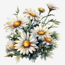 Схема вышивки «ромашки»