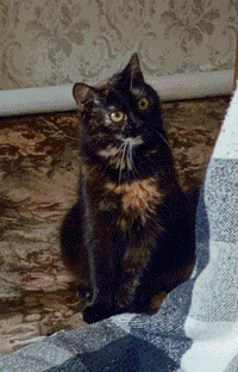 Кошка - предпросмотр