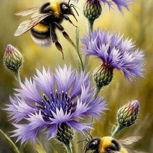 Схема вышивки «№2931611»