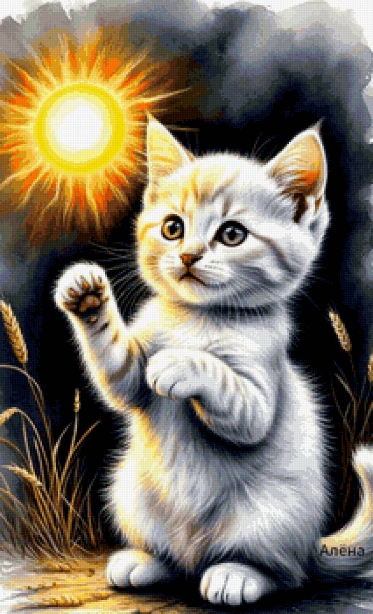 котенок - кот - предпросмотр