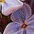 Предпросмотр схемы вышивки «Liliac» (№2932567)