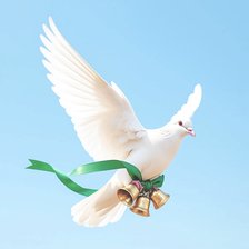 Оригинал схемы вышивки «Голубь с колоколами 2.0» (№2932745)