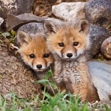 Схема вышивки «№2932967»