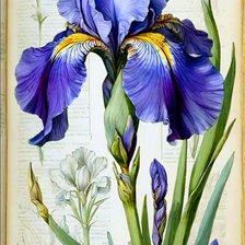 Схема вышивки «Цветы»