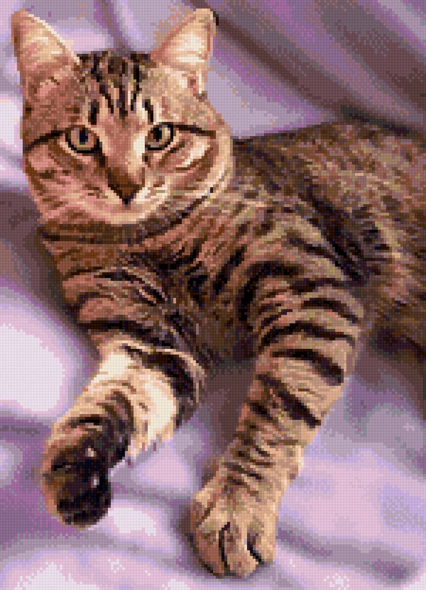 Масик - предпросмотр