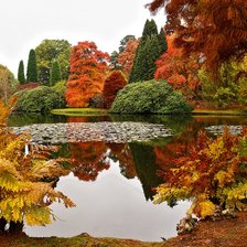 Схема вышивки «Золотая осень»