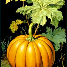 Схема вышивки «Грядка»