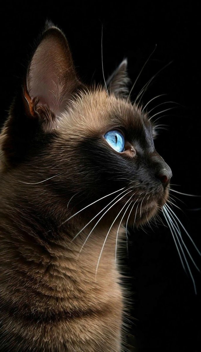 СЕМЕН СЕМЕНЫЧ - оригинал