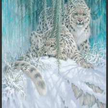 Схема вышивки «Снежные барсы»