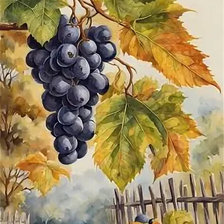 Схема вышивки «Гроздь винограда»