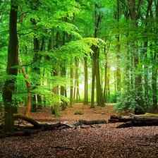 Схема вышивки «№2935832»