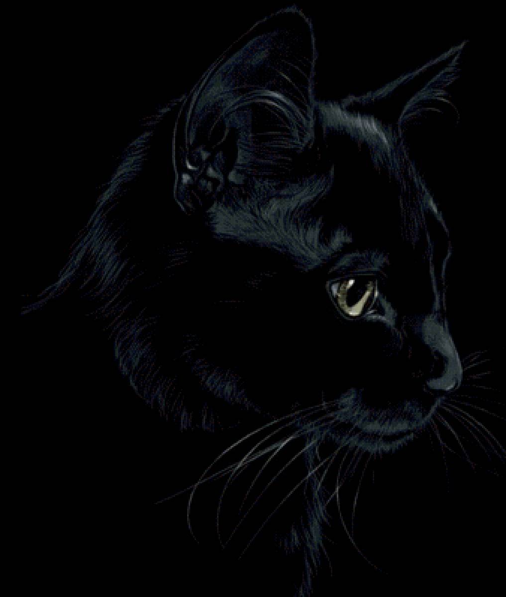 50 оттенков божества - предпросмотр