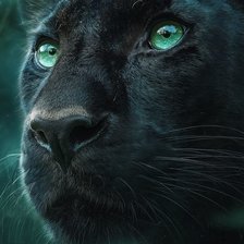 Схема вышивки «Пантера»