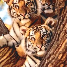 Схема вышивки «тигрята»