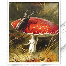 Схема вышивки «Лесной красавец»