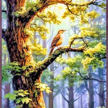 Схема вышивки «Лес»