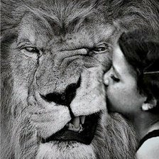 Схема вышивки «Девочка целует льва»