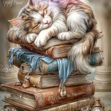 Схема вышивки «Книжный кот»