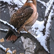 Схема вышивки «№2938468»