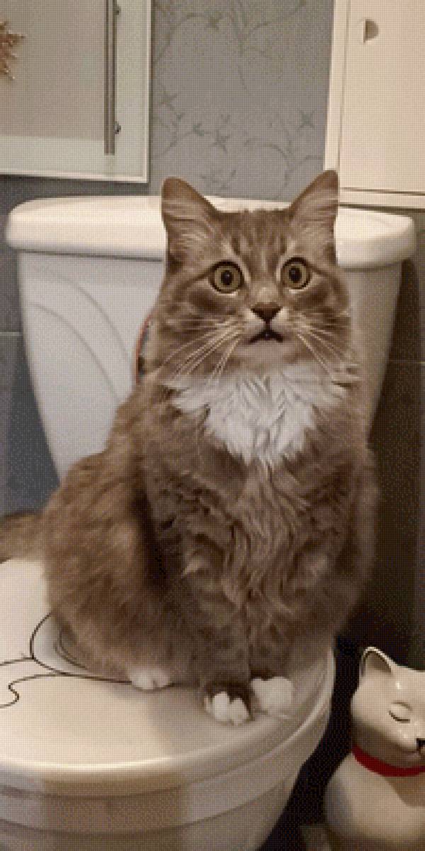 Кот,,Томас,, - томас, , кот - предпросмотр