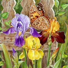 Схема вышивки «Ирисы»