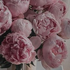 Схема вышивки «Пионы»