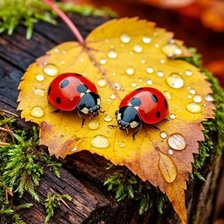 Схема вышивки «№2938955»