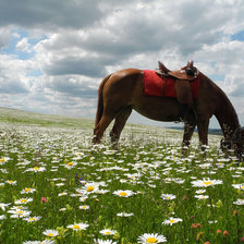 Схема вышивки «№2939853»