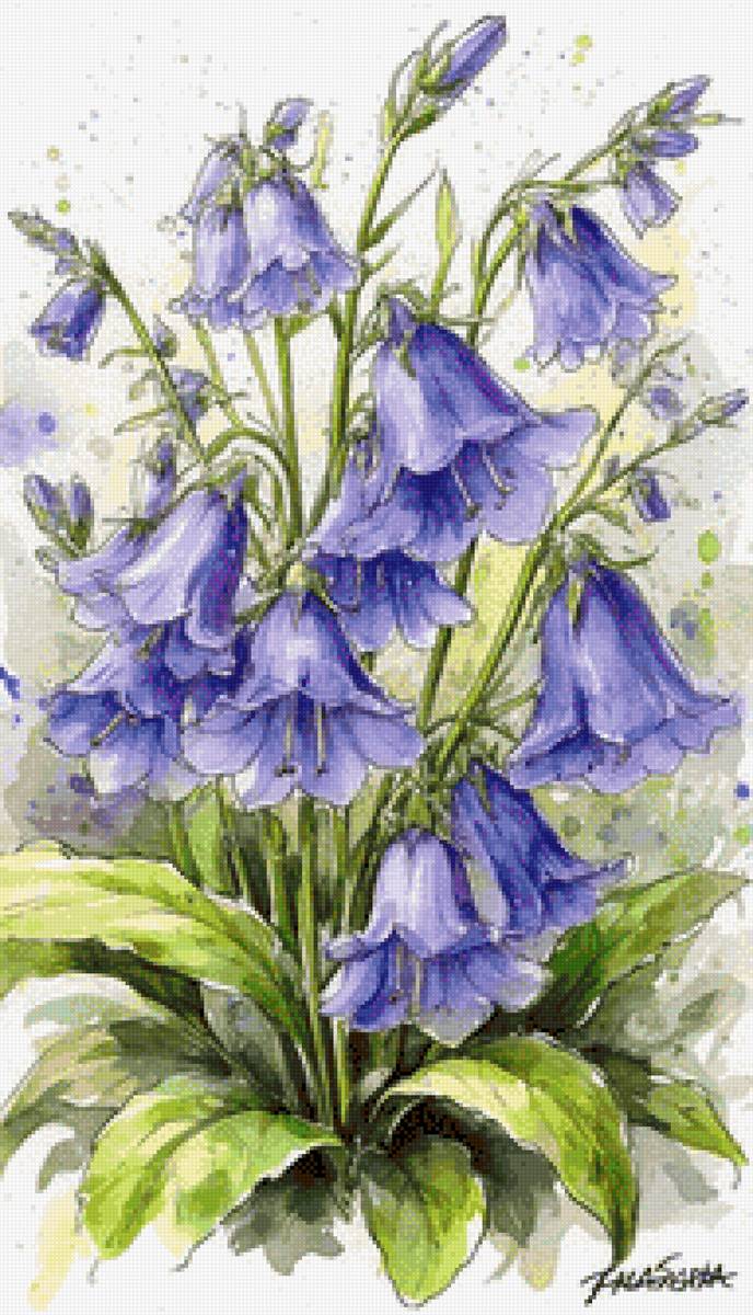 Колокольчики - колокольчики, цветы - предпросмотр