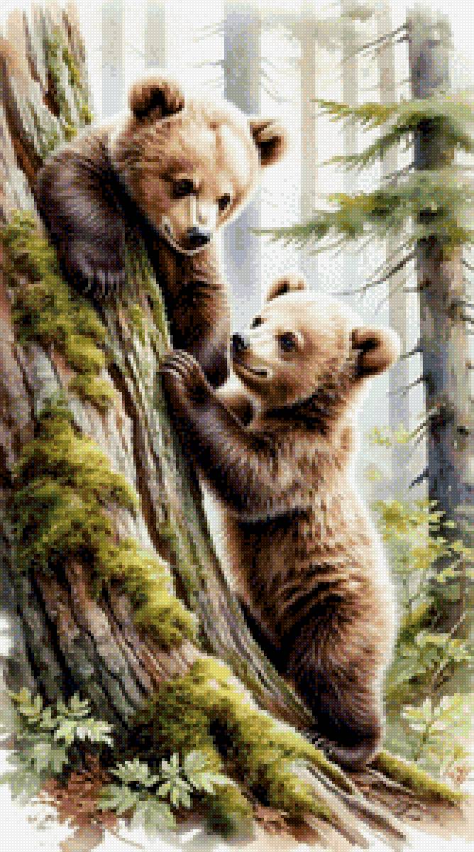 Мишки - предпросмотр