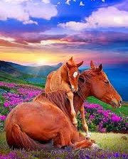 Схема вышивки «нежность»