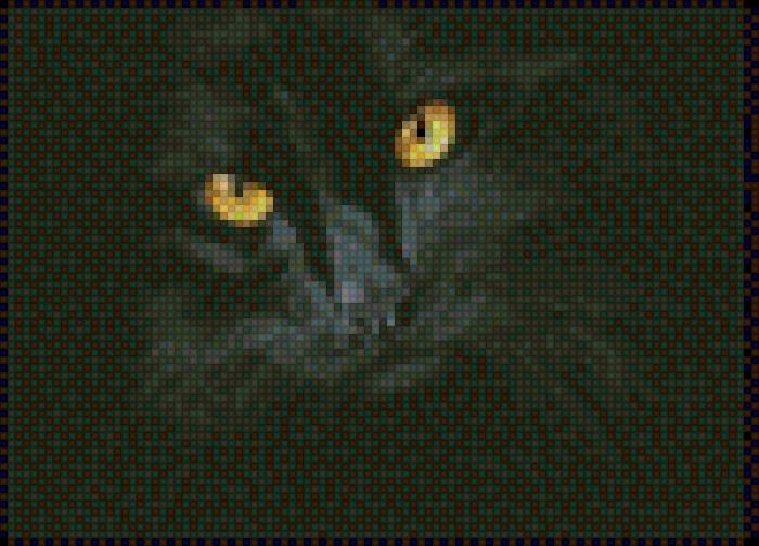 Черный кот - предпросмотр