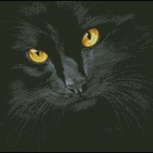 Схема вышивки «Черный кот»