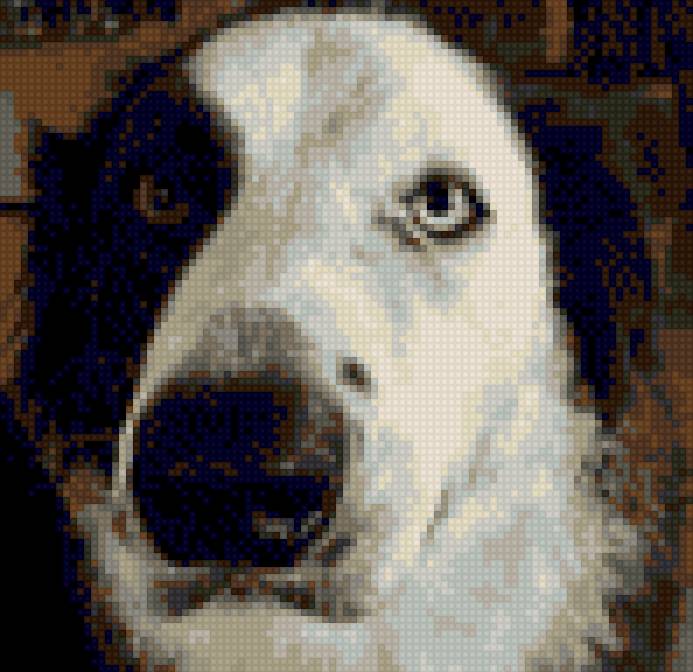 Tonto Pattern - предпросмотр