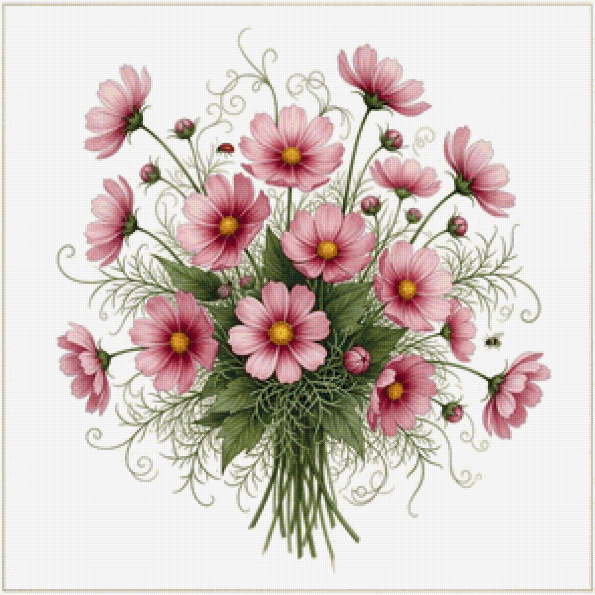 Космея - космея, цветы - предпросмотр