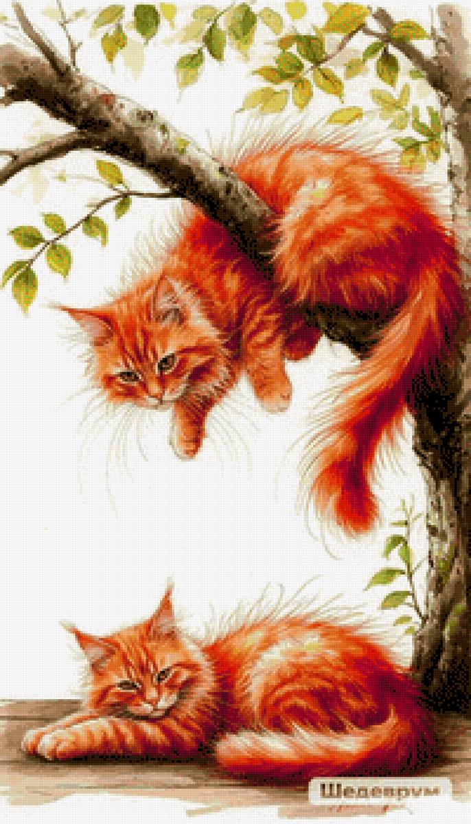 Рыжие - домашние животные, кот - предпросмотр