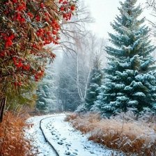 Схема вышивки «№2941753»