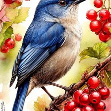 Схема вышивки «птица»