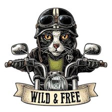 Схема вышивки «Мото-кот»