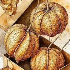 Схема вышивки «№2942220»