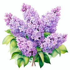 Схема вышивки «Сирень»