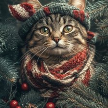 Котик в шапке