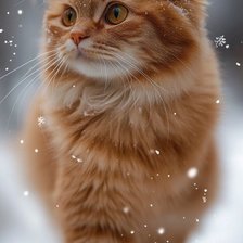 Схема вышивки «Котик»