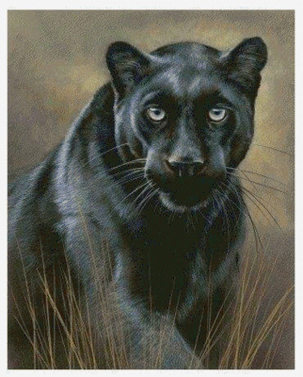 №2942462 - предпросмотр